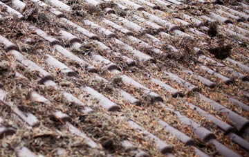 New Deer roof cleaning companies